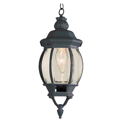 Trans Globe Lighting 4065 BK 1 Light Hanging Lantern in Black